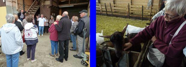 Ferme Cabri