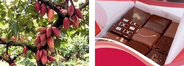 Chocolat