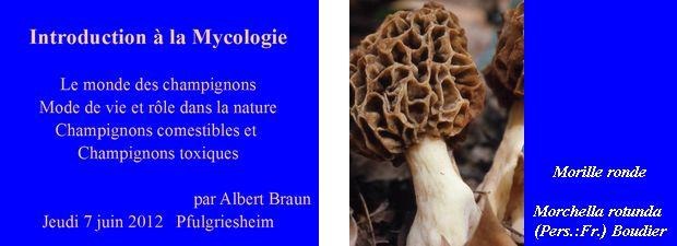 Mycologie-Braun
